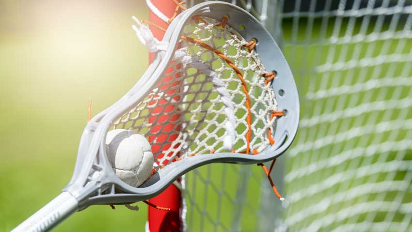 Lacrosse stick, ball and net