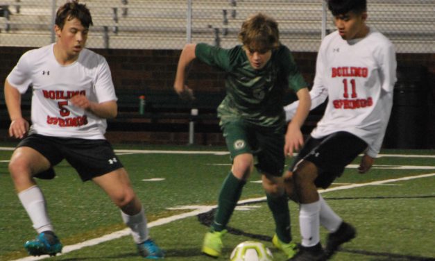 Expectations not dampened by Young team