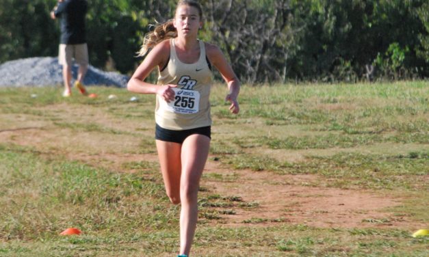 Copperheads run away with Region 3-4A titles, state meet dates changed