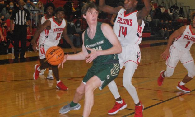 Copperheads sweep Nation Ford