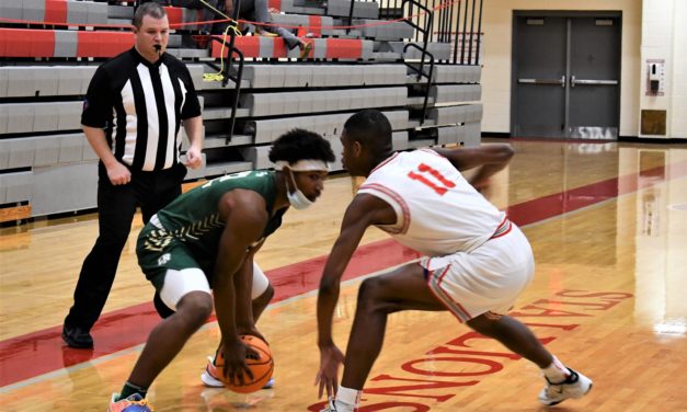 Copperheads still in hunt for a playoff spot, despite three losses