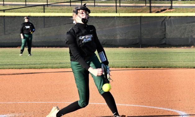 Copperheads’ softball clinches playoff spot by dismantling South Pointe