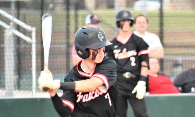 Falcons outlast Copperheads in 11 innings
