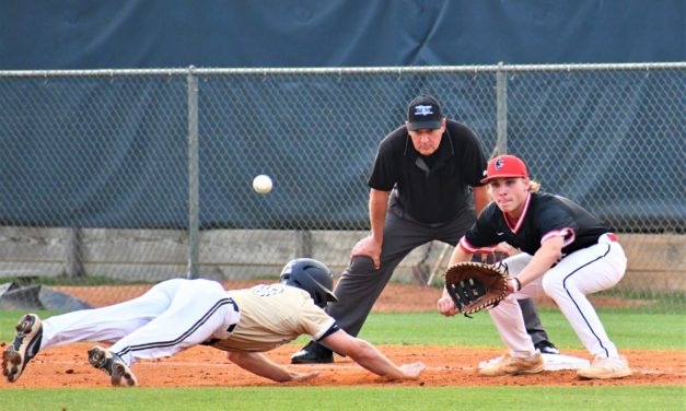 Falcons, Copperheads’ baseball seasons come to an end; softball marches on