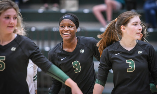 Copperheads’ volleyball closing in on region title