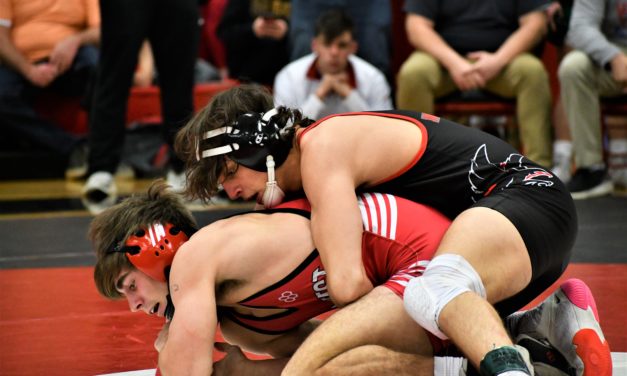 Nine wrestlers heading to state tournament