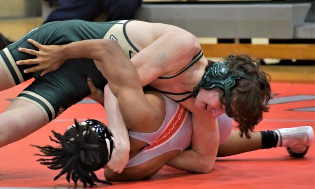 Three Copperhead wrestlers win individual Region 3-4A titles