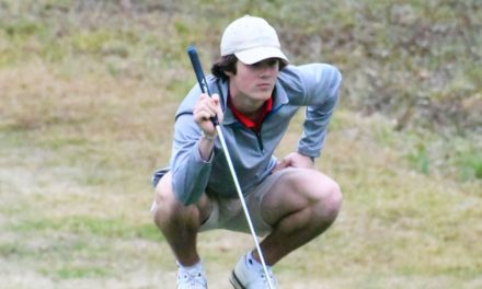 Falcons top Catawba Ridge and South Pointe in golf, rain cancels most everything else