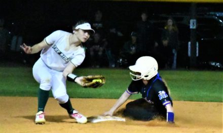 Copperheads’ softball takes one from Jackets on the diamond