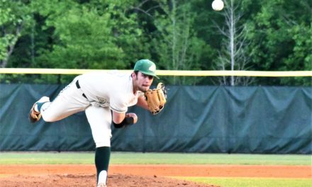 Copperheads strong against Nation Ford behind one-hitter