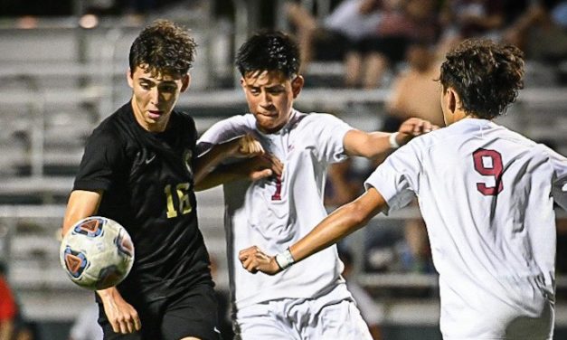 Experienced Copperheads push their way to third round of playoffs