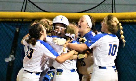 Walk-off hit gives Fort Mill a win to open Upper State bracket