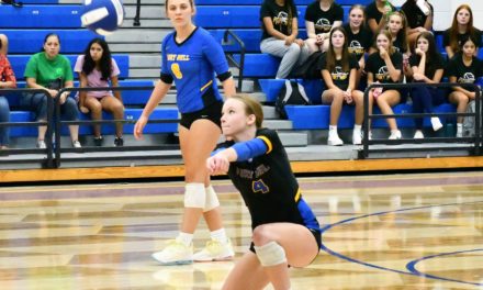 Fort Mill volleyball opens regular season with shutout of Warriors