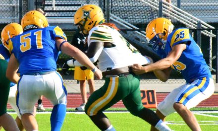 Fort Mill looking to build on small successes