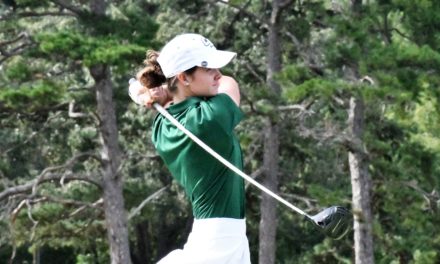 Copperheads get best of Fort Mill golfers