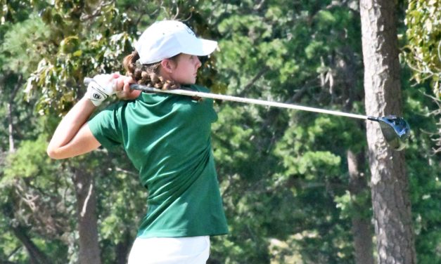 Catawba Ridge golfers top Rock Hill, finish in top 15 at Palmetto Preview