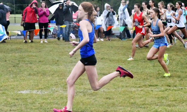 Nation Ford, Fort Mill runners split Region 3-5A title