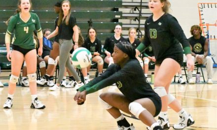 Copperheads fall in second round of volleyball playoffs