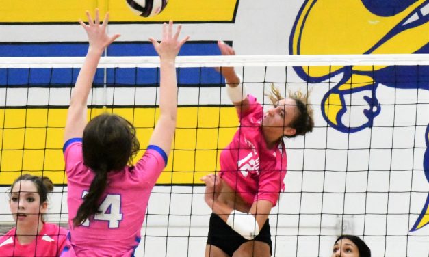 Nation Ford finishes region schedule with perfect mark