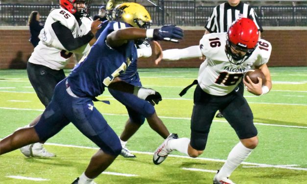 Turnovers and Vikings offense sink Nation Ford