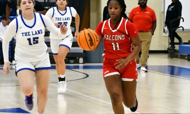 Falcons split games with Indian Land