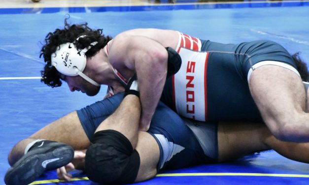 Fort Mill wrestlers grab six Region titles; Falcons bring home three, Copperheads two