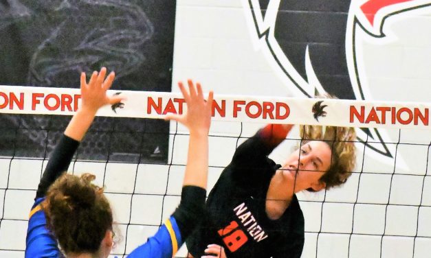 Martin named state Gatorade Player of the Year