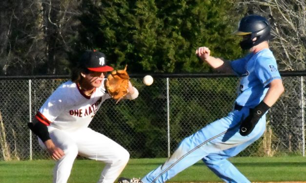 Falcons drop game three to Blythewood (March 24 Roundup)