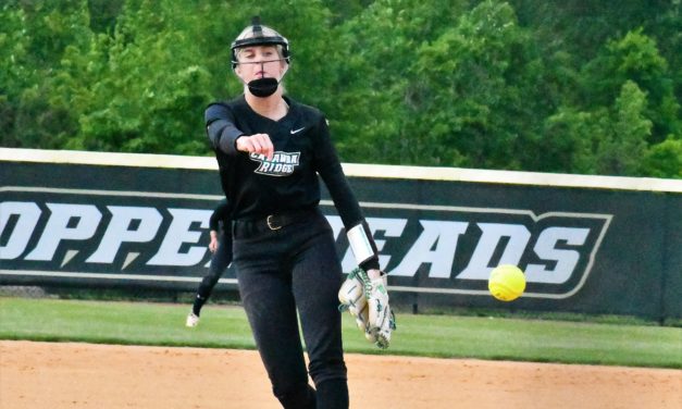 Copperheads crush Wade Hampton to open playoffs (May 2nd Roundup)