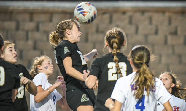 Catawba Ridge embraces dog mentality in playoff opening win