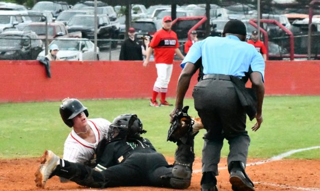 Catawba Ridge forces decisive game at Greenville