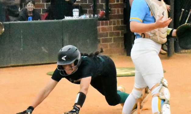 Catawba Ridge softball takes game one in dramatic fashion