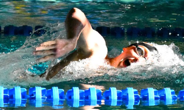 Falcons and Copperheads battle it out in the pool