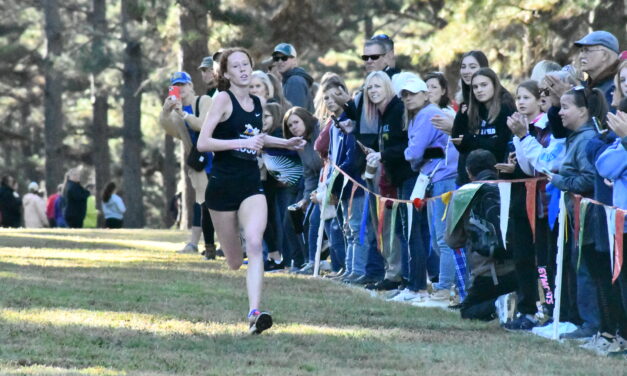 Cleveland, Fort Mill win York County Championship