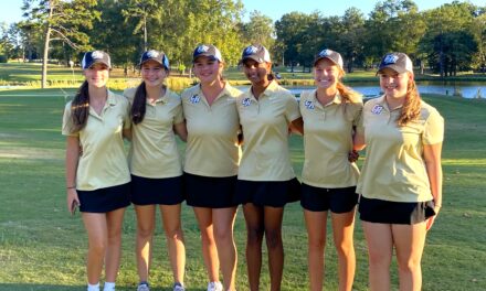 Catawba Ridge wins 4A Upper State golf championship; Falcons, Jackets qualify for state