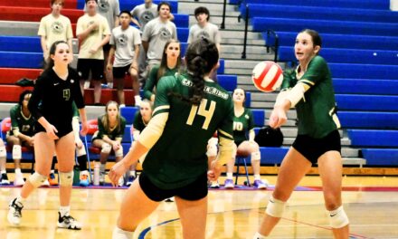 Lady Copperheads rally to move to Upper State title match