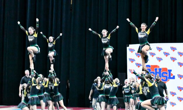 Catawba Ridge, Fort Mill cheer grab top 10 placements at state competition