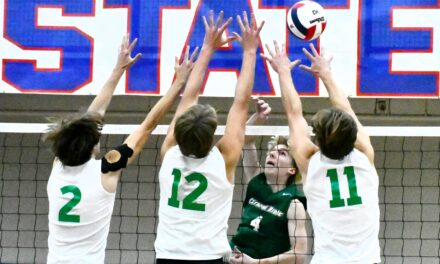 Copperheads come up short in volleyball title match