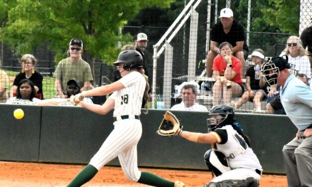 Catawba Ridge softball heading back to 4A state title series