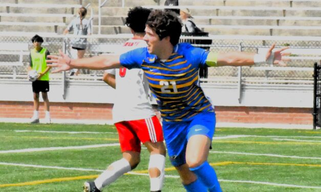 Fort Mill’s Gritz named Gatorade Player of the Year for the state
