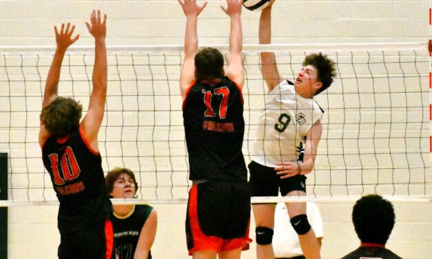 Copperheads, Falcons clash to open boys’ volleyball playoffs
