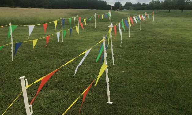 Local teams qualify for cross-country state championship