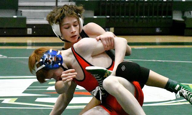 Copperheads edged by Demons (Jan. 8 Roundup)