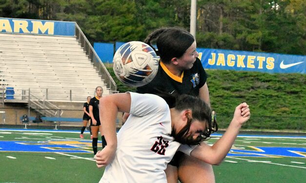 Falcons blank Fort Mill in first run through region schedule (April 1 Roundup)