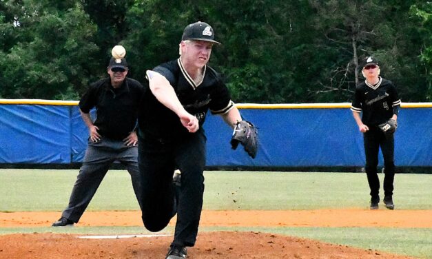 Copperheads pull away to win Upper State baseball title
