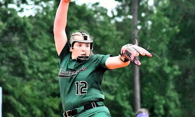 Copperheads fight off Shark attack to take game one