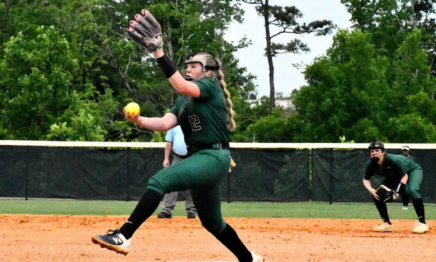 O’Brien no-hitter paces Catawba Ridge softball