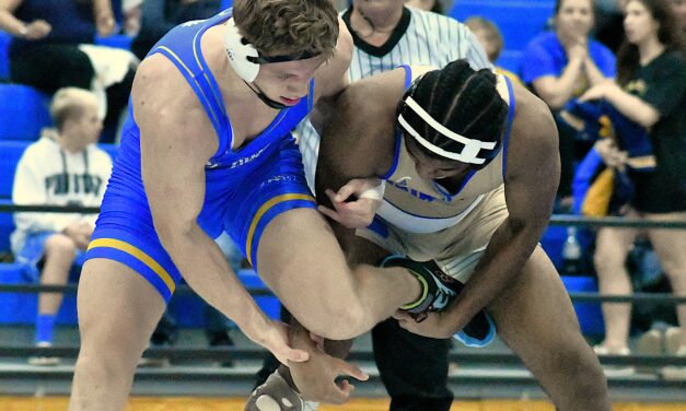 Fort Mill has two winners at Shark Invitational; Copperheads also crown winner in tourney