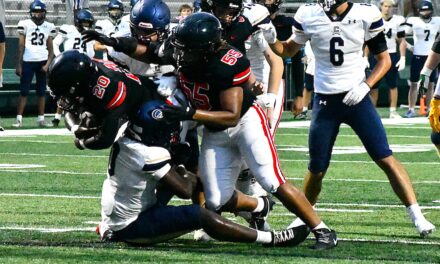Falcons, Copperheads split in Battle of the Border